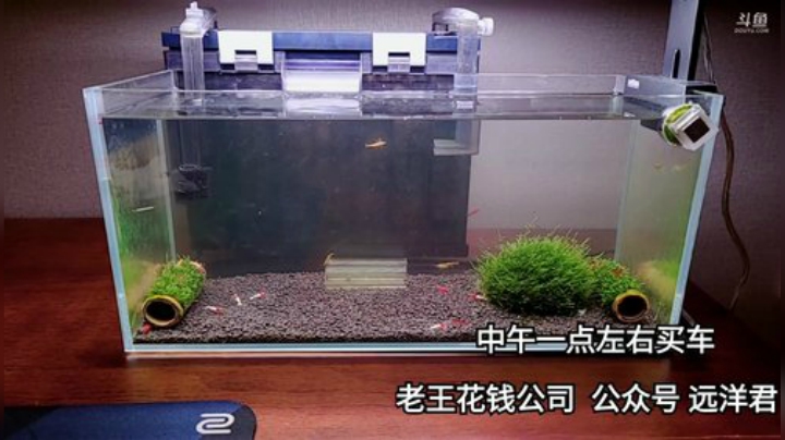 【户外】远洋君的精彩时刻 20201208 11点场