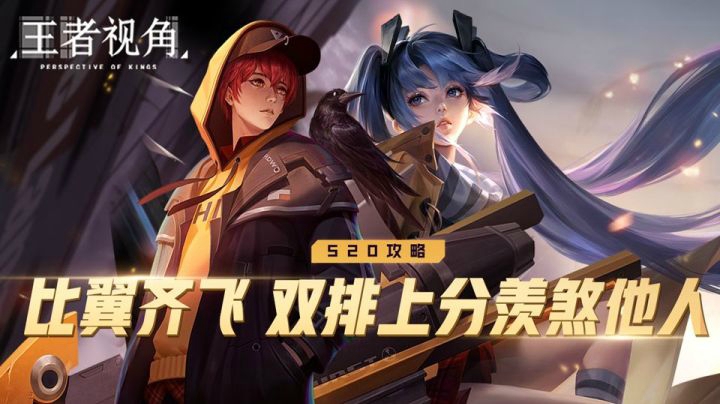 【王者视角】第二十八期：比翼齐飞，双排上分羡煞他人