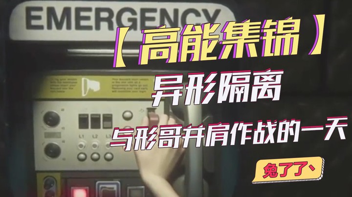 【兔了了高能集锦】异形隔离  与形哥并肩作战的一天