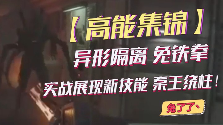 【兔了了高能集锦】异形隔离  兔铁拳 实战展现新技能 秦王绕柱！