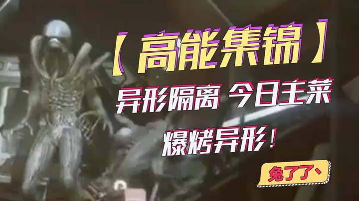 【兔了了高能集锦】异形隔离  今日主菜 爆烤异形！