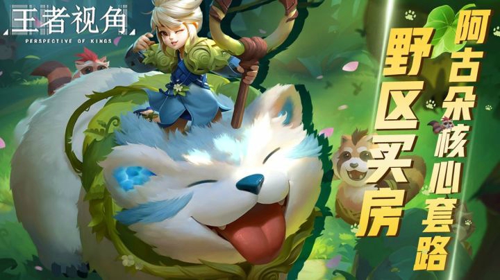 【王者视角】第三十八期：野区买房，阿古朵的千层套路