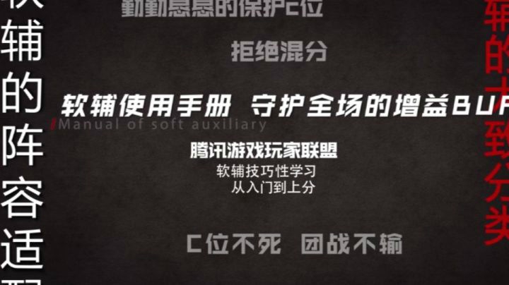 【王者视角】第二十四期：软辅使用手册,守护全场的增益buff
