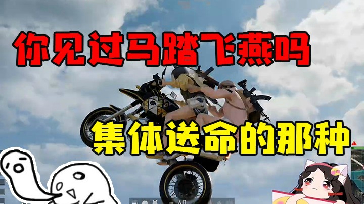 马踏飞燕帅就完事了，水友赛分数第二友谊第一