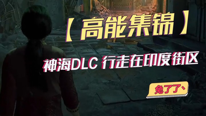 【兔了了高能集锦】：神海DLC 行走在印度街区