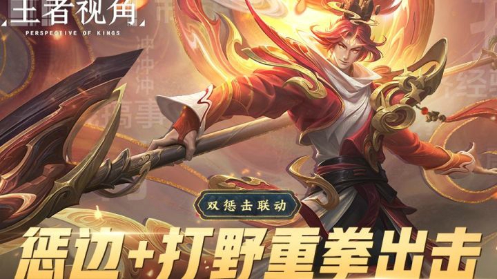 【王者视角】第十一期：双惩击联动，惩边+打野重拳出击
