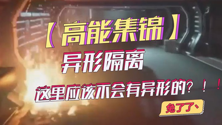 【兔了了高能集锦】异形隔离 这里应该不会有异形的？！