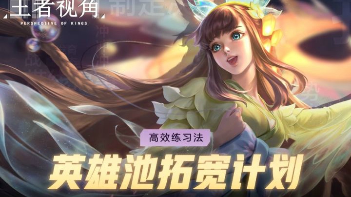 【王者视角】第十三期：高效练习法，英雄池拓宽计划