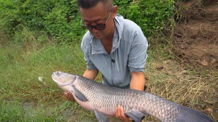 《游钓中国6》第17集 梅雨季节征战白荡湖 11米长竿连拔大青鱼