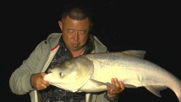 《游钓中国6》第15集 筏钓龙马江 夜获巨型大鲢鳙