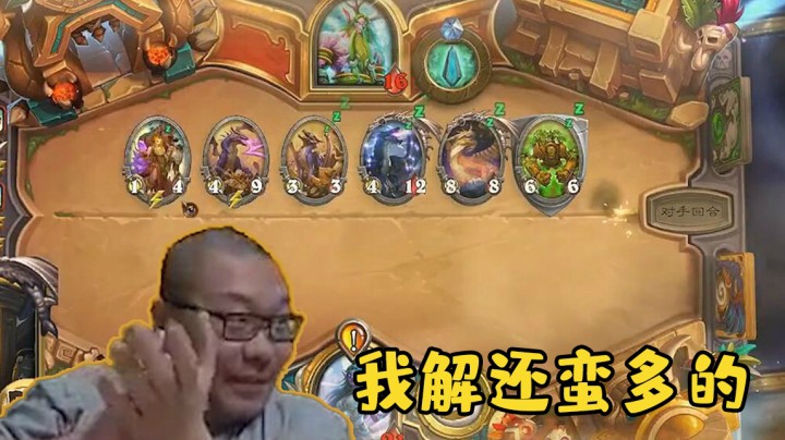 【炉石王师傅】我解还蛮多的