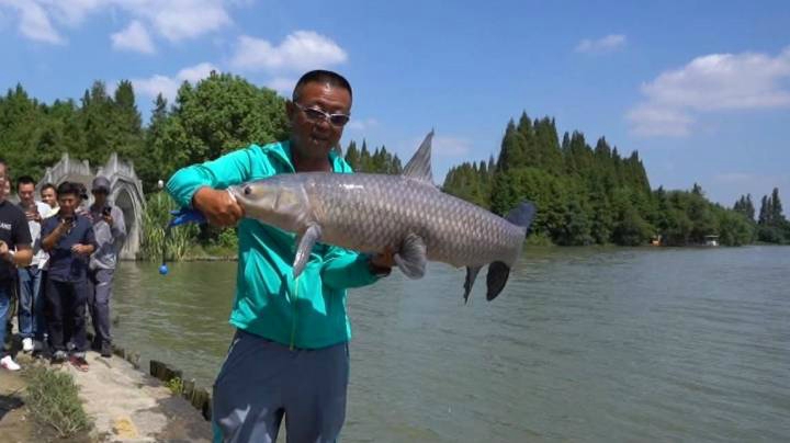 《游钓中国6》第5集 远投矶竿齐上阵 直击湘湖底钓巨青