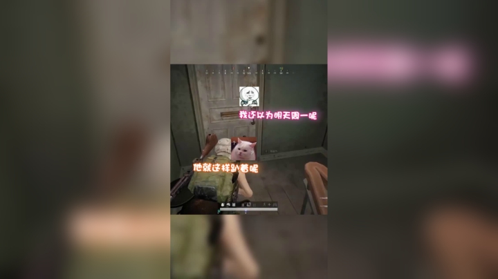 当队友的沟通完全不在一个频道上