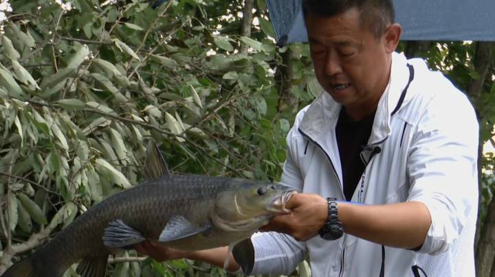 《游钓中国6》第3集 故地重游丹江口，武当山下垂钓翁