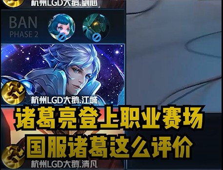 诸葛亮登上职业赛场，国服辅助这么评价