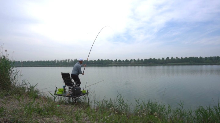 《游钓中国6》第18集 太白湖前一线牵 芦花流水草鱼肥