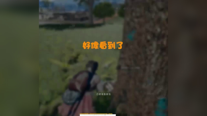 【宋温柔】这还看不见吗？
