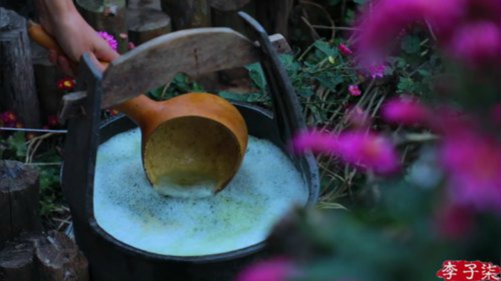 【美食】李子柒liziqi的精彩时刻 20201211 11点场
