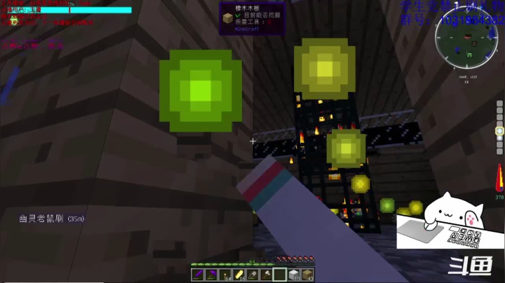 【2020-12-11 19点场】绵羊菌不是菌：绵羊菌：木大木大木大