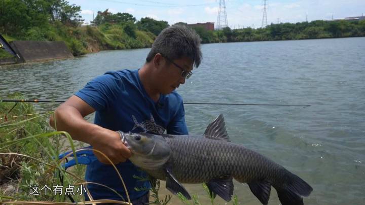 《游钓中国6》第23集 江西丰城北坑钓场 九米寻王力拔青鱼
