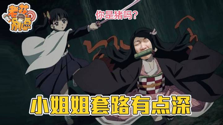 【老花别逗】小姐姐这个套路有点深啊