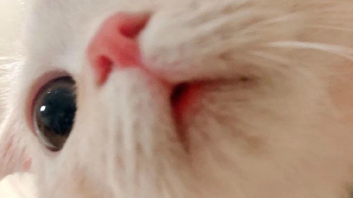 炉火纯青？