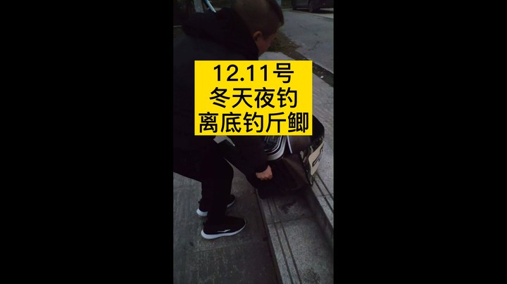 #钓鱼人  #黑坑钓鱼 #黑坑江湖 #带我黑坑吧 #黑坑 #户外钓鱼 #黑坑偷驴 冬天里的第一场夜钓斤鲫