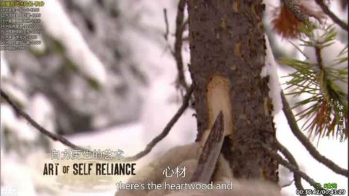 【科普】酷炫你你你的精彩时刻 20201212 02点场