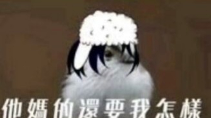 战车道，继续出击！
