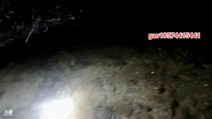 【2020-12-12 19点场】魅力生活i：河道晚上有惊喜嘛？