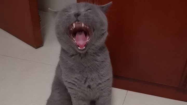 恶龙咆哮