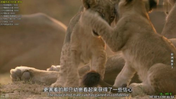 【科普】酷炫你你你的精彩时刻 20201213 22点场