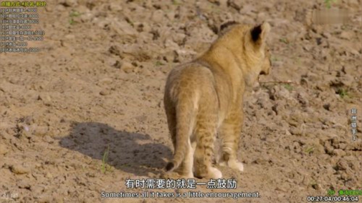 【科普】酷炫你你你的精彩时刻 20201213 22点场