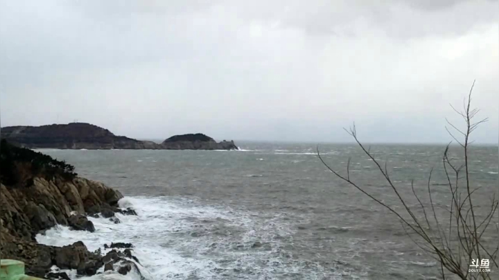 【2020-12-13 15点场】威海大叔：风里雨里，海鲜走起。