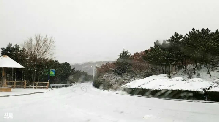 【2020-12-14 15点场】威海大叔：风里雨里，海鲜走起。
