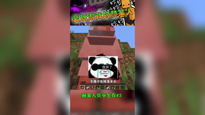 [赫某人]振金MITE第三集