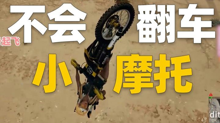 【一条小团团】人算不如天算~