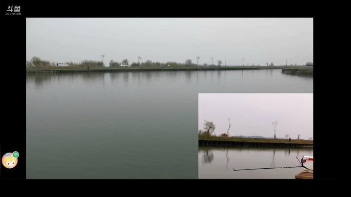 【2020-12-15 11点场】中华户外钓鱼：小玩半天争取二十斤