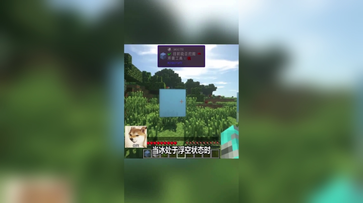 我的世界你不知道的冷门知识