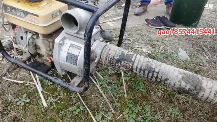 【2020-12-15 10点场】魅力生活i：继续抽野塘搞大货