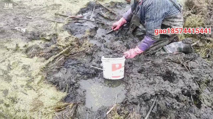 【2020-12-15 14点场】魅力生活i：继续抽野塘搞大货