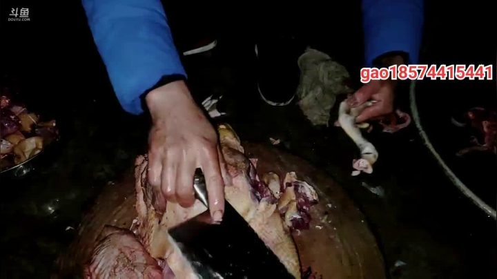 【2020-12-15 17点场】魅力生活i：铁锅炖大鸭