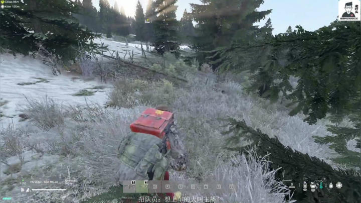 【2020-12-14 00点场】Biu枼非凡：DAYZ新手导师