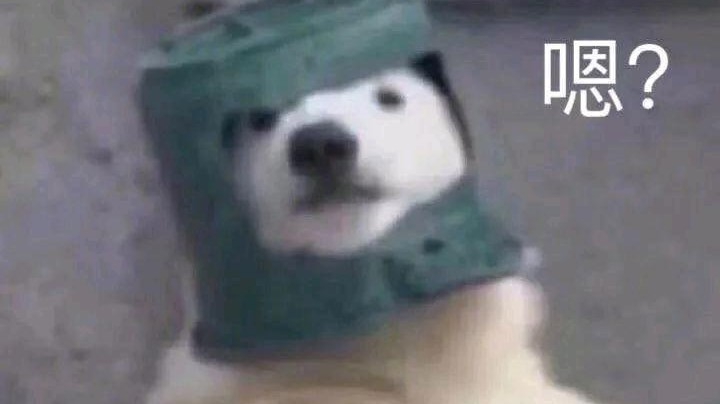 随便玩