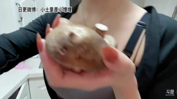 我在斗鱼看可爱的埋埋直播二次元