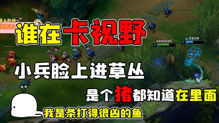 这就是泽拉斯加娜美嘛