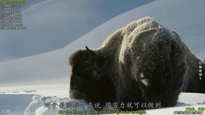 【科普】酷炫你你你的精彩时刻 20201216 10点场