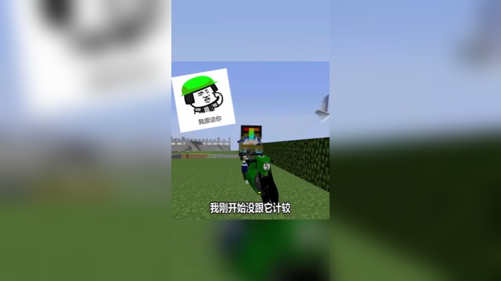 我的世界风也有烦恼
