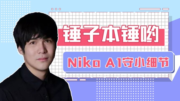 Niko A1守小细节分析