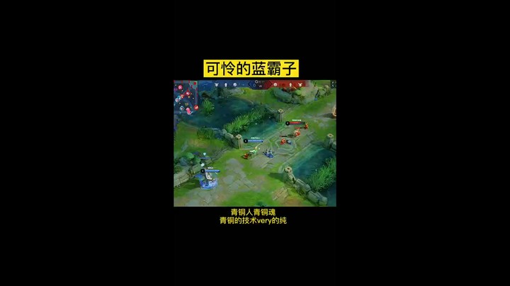 可怜的蓝霸子